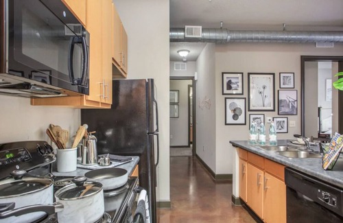 University Apartment | Cozy 1-bedroom with AC, WiFi in enjoyable Tampa
