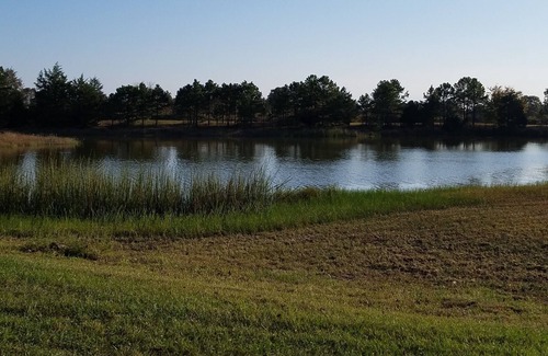 Antlers Cabin | Cozy 2 rm pet friendly cabin- private lake - fishing & swimming - IndianCabin