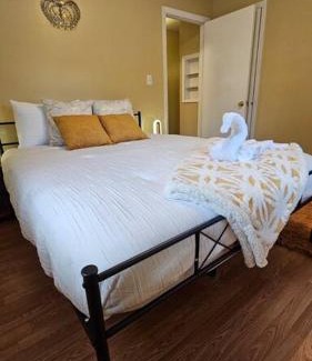 Greenville Apartment | Cozy 2BR sleeps 6 near ECU Stadium and Hospital