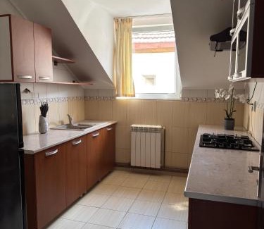 Iasi Apartment | COZY 3 Room Apartments with Garden and Terrace