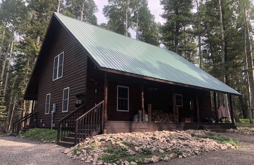 Cimarron Cabin | Cozy 3Bed 2Bath Cabin - Lodge/Snowmobile/UTV Rental Nearby