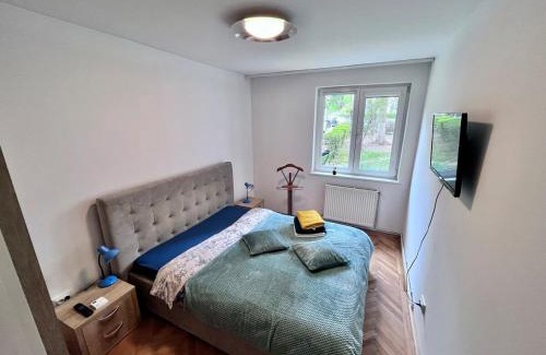 Sfantu Gheorghe Apartment | Cozy and comfortable apartment