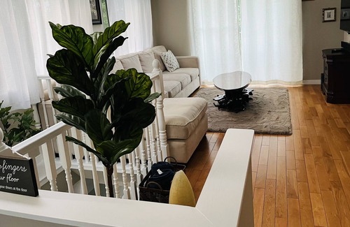 Valentia Cottage | Cozy and luxurious four seasons waterfront cottage