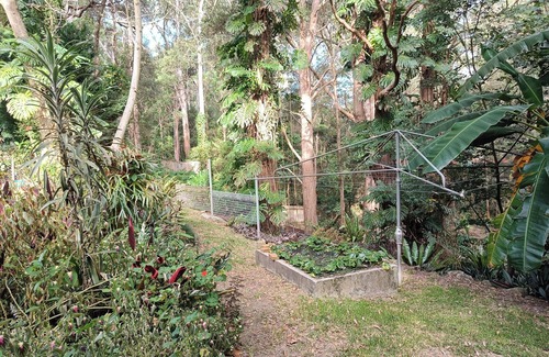 Beecroft Apartment | Cozy and Peaceful Apartment with Beautiful and Tranquil Garden