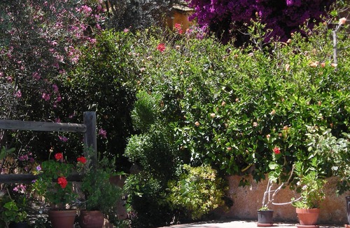 Agustinos Cottage | Cozy and quiet holidaycottage with private,heatable pool and breathtaking views