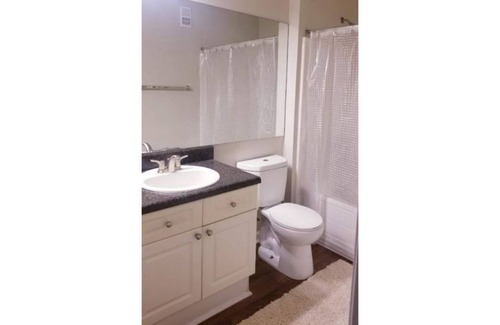 Duluth Apartment | Cozy and Spacious Deluxe Apartment