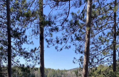 Madawaska Valley Cottage | Cozy and Very Private