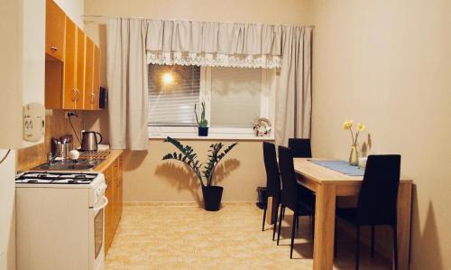 Usti nad Labem Apartment | Cozy apartment at river Labe near center and train