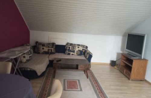 Grenzach-Wyhlen Apartment | Cozy Apartment
