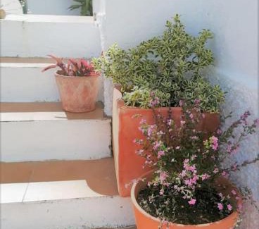Tercena Apartment | Cozy apartment with private courtyard