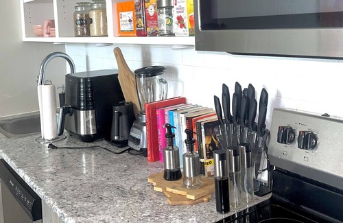 Downtown Winnipeg Apartment | Cozy artsy New York type loaf in the heart of downtown Winnipeg (Pet friendly)