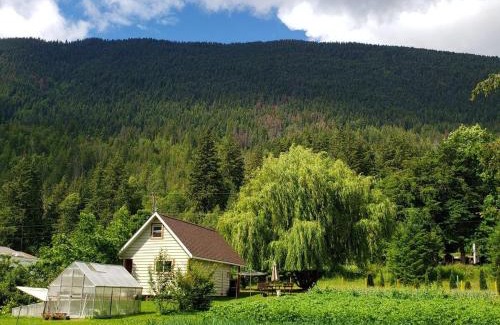 Tappen Ski Chalet | Cozy Cabin, 2 min to the HWY1