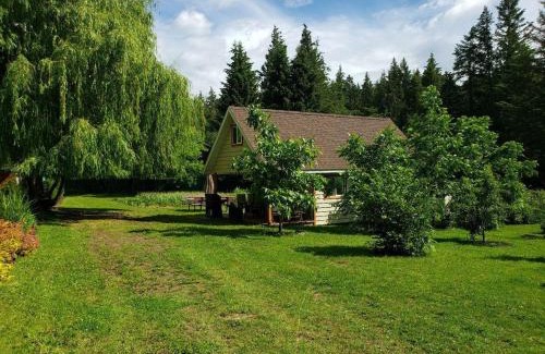 Tappen Ski Chalet | Cozy Cabin, 2 min to the HWY1