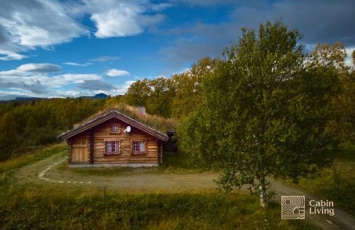 Beitostolen House | Cozy cabin at Beitostølen with sauna, hot tub & fireplace