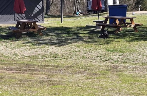 Proctor Cabin | Cozy Cabin, floating, illinois river, golfing