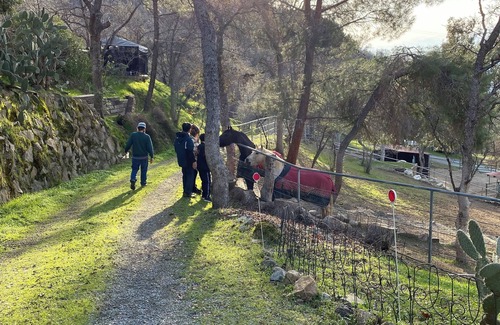 Three Rivers Cabin | Cozy cabin in charming Three Rivers 4 miles from Sequoia National Park entrance.
