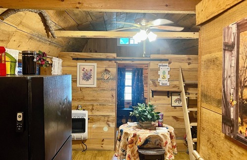 Waneta Cabin | Cozy Cabin in lovely McKee with WiFi, AC