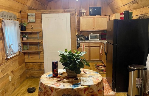 Waneta Cabin | Cozy Cabin in lovely McKee with WiFi, AC