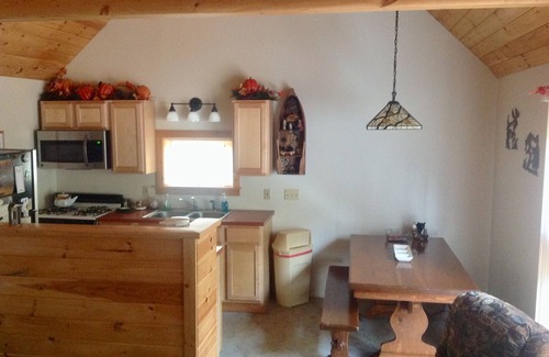 Old Forge Cabin | Cozy cabin in Old Forge. 3 miles north of town.