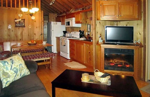 Lake Panasoffkee Cabin | Cozy Cabin in riverfront resort