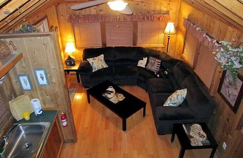 Lake Panasoffkee Cabin | Cozy Cabin in riverfront resort
