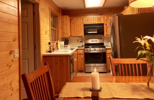 Pagosa Springs Cabin | Cozy Cabin in the Heart of Pristine Wilderness