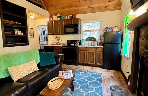 Roan Mountain Cabin | Cozy Cabin in the Woods Hammock Private