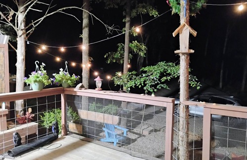 Natural Dam Cabin | Cozy cabin in tranquil Natural Dam with AC,heat WiFi