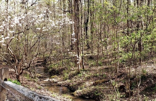 Pine Mountain Valley Cabin | Cozy Cabin near Callaway Gardens