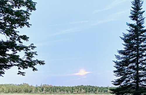 Longville Cabin | Cozy Cabin on shore of Lake Inguadona