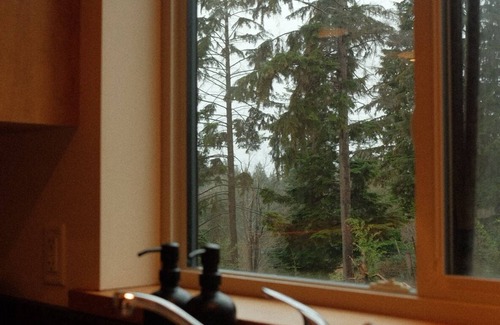 Bowen Island Cabin | Cozy Cabin w/Private Sauna, Cold Tub, Fire & Ocean View (10 min walk to beach)