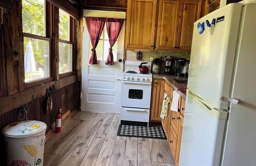 Monroe Cabin | Cozy Cabin with Outdoor Sauna and Firepit!