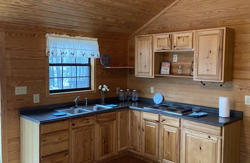 Wood County Cabin | Cozy Cabin with Panaromic View of Lake Holbrook
