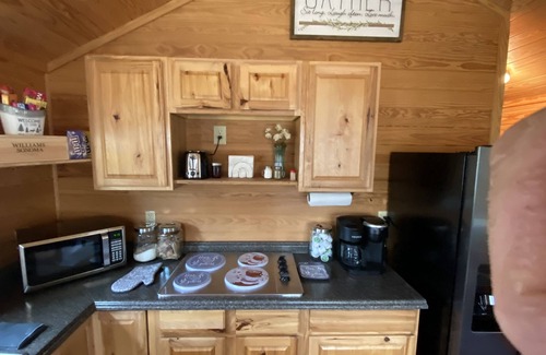 Wood County Cabin | Cozy Cabin with Panaromic View of Lake Holbrook