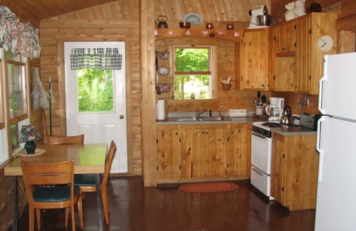 Norway Cabin | Cozy Cedar Log Cabin on Pristine Sand Pond in Norway, great for swimming.