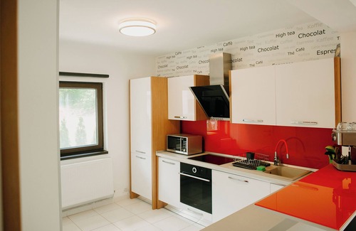 Baia-Sprie Ski Chalet | Cozy chalet in Maramureș in the middle of nature with everything equipped
