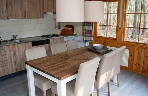 Municipality of Westerveld Ski Chalet | Cozy chalet with a decorative fireplace