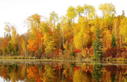 Marcell Cabin | Cozy & Charming Lakeside Cabin W/Deck! Steps to the Lake...