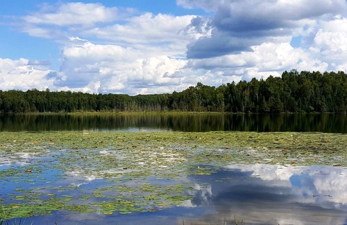 Marcell Cabin | Cozy & Charming Lakeside Cabin W/Deck! Steps to the Lake...