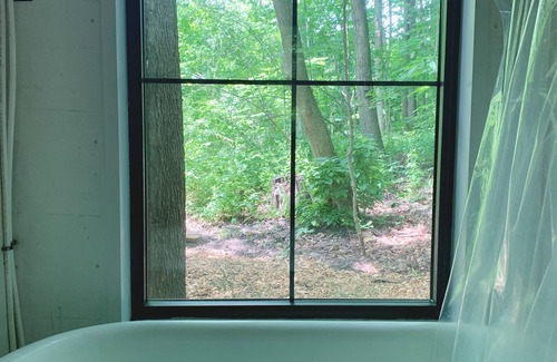 Burlington Cabin | Cozy Clappison Cabin - 8 acres of private forest!🌳