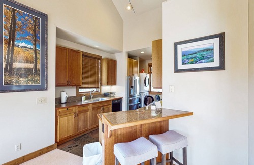 Mountain Village Condo | Cozy condo with fireplace, W/D, wifi & ski in/out access