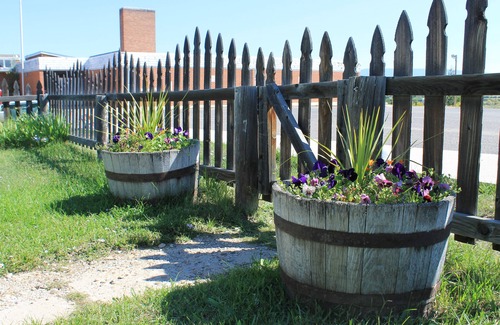 Walden Cottage | Cozy Cottage- 3 blocks from Main St., Walden, CO