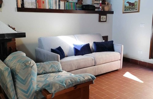 Comero Cabin | Cozy cottage between lake and the mountains. We're pet-friendly.
