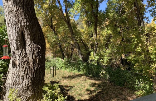 Glendale Cottage | Cozy Cottage in secluded canyon-Perfect Zion and Bryce Getaway