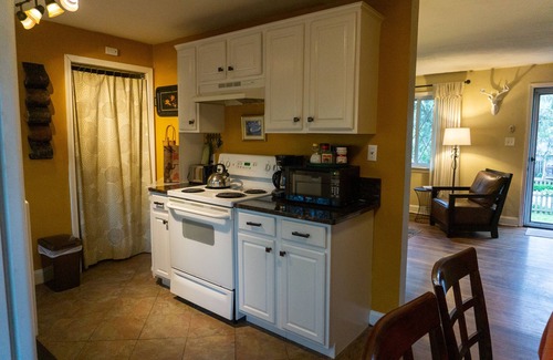 Brevard Cottage | Cozy Cottage only steps away from Downtown Brevard!