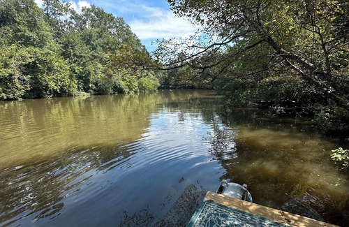 Gulfport House | Cozy cottage, scenic trails to river for kayak launch and peaceful fishing.