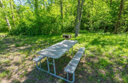 Vein Mountain House | Cozy Cove Cabin Pet Friendly & Creek Access