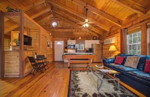 Sautee Nacoochee Cabin | Cozy Dog-Friendly Cabin with Hot Tub, Jetted Tub, Fireplace & WiFi