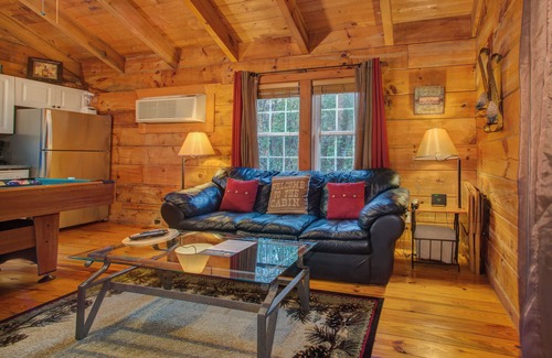 Sautee Nacoochee Cabin | Cozy Dog-Friendly Cabin with Hot Tub, Jetted Tub, Fireplace & WiFi