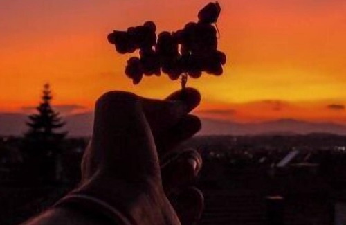 Prilep House | Cozy En-Suite in a Peaceful Area in Prilep, with a Skyline View